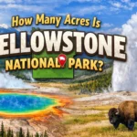 how many acres is yellowstone national park