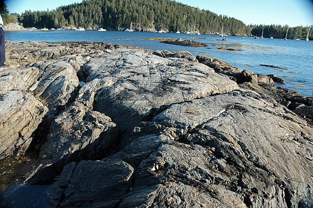 Gneiss (Ellsworth Schist, Cambrian; Seal Cove, Mt. Desert Island, Maine, USA)