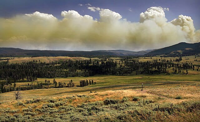 Wildfire in Yellowstone National Park