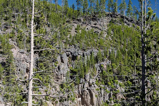Gibbon Canyon at Gibbon Falls in Yellowstone National Park, Wyoming, USA