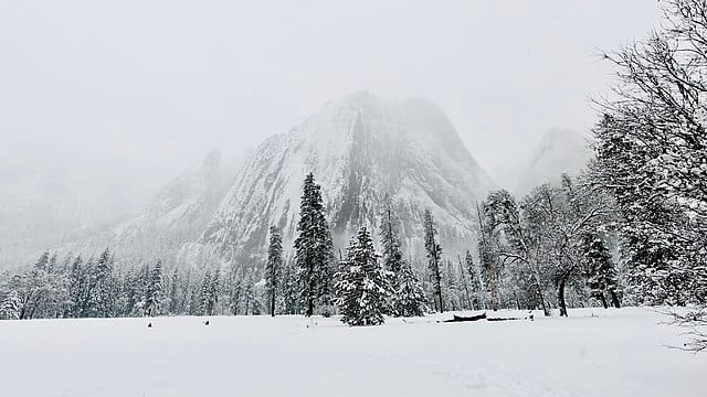 yosemite Winter