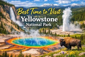 Best Time to Visit Yellowstone National Park (Month-by-Month Guide)