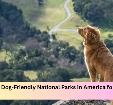 Best Dog-Friendly National Parks in America for Pet Owners
