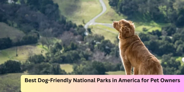 Best Dog-Friendly National Parks in America for Pet Owners