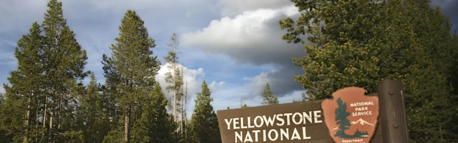 Best Time to Visit Yellowstone National Park: A Seasonal Travel Guide