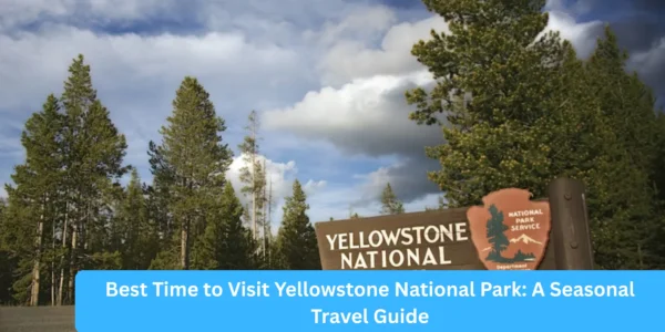 Best Time to Visit Yellowstone National Park: A Seasonal Travel Guide