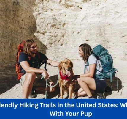 Dog Friendly Hiking Trails in the United States: Where to Hike With Your Pup