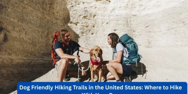 Dog Friendly Hiking Trails in the United States: Where to Hike With Your Pup