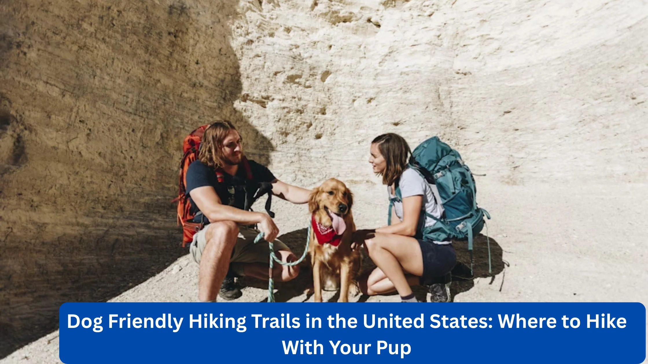 Dog Friendly Hiking Trails in the United States: Where to Hike With Your Pup