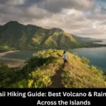 Hawaii Hiking Guide: Best Volcano & Rainforest Trails Across the Islands
