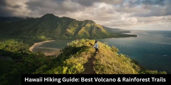 Hawaii Hiking Guide: Best Volcano & Rainforest Trails Across the Islands
