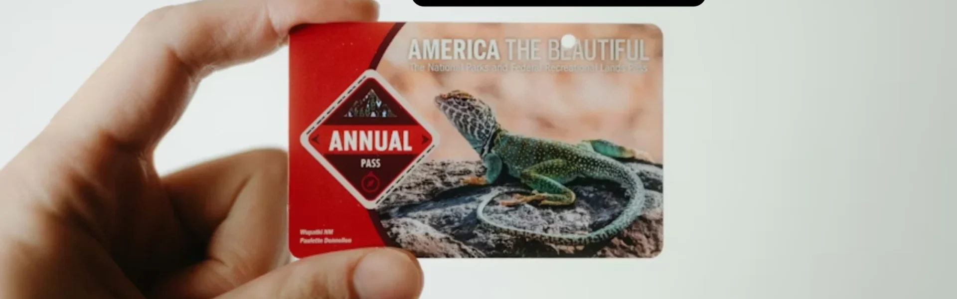 How to Get a National Park Pass in the USA + Which Parks Are Worth It