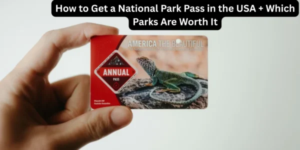How to Get a National Park Pass in the USA + Which Parks Are Worth It