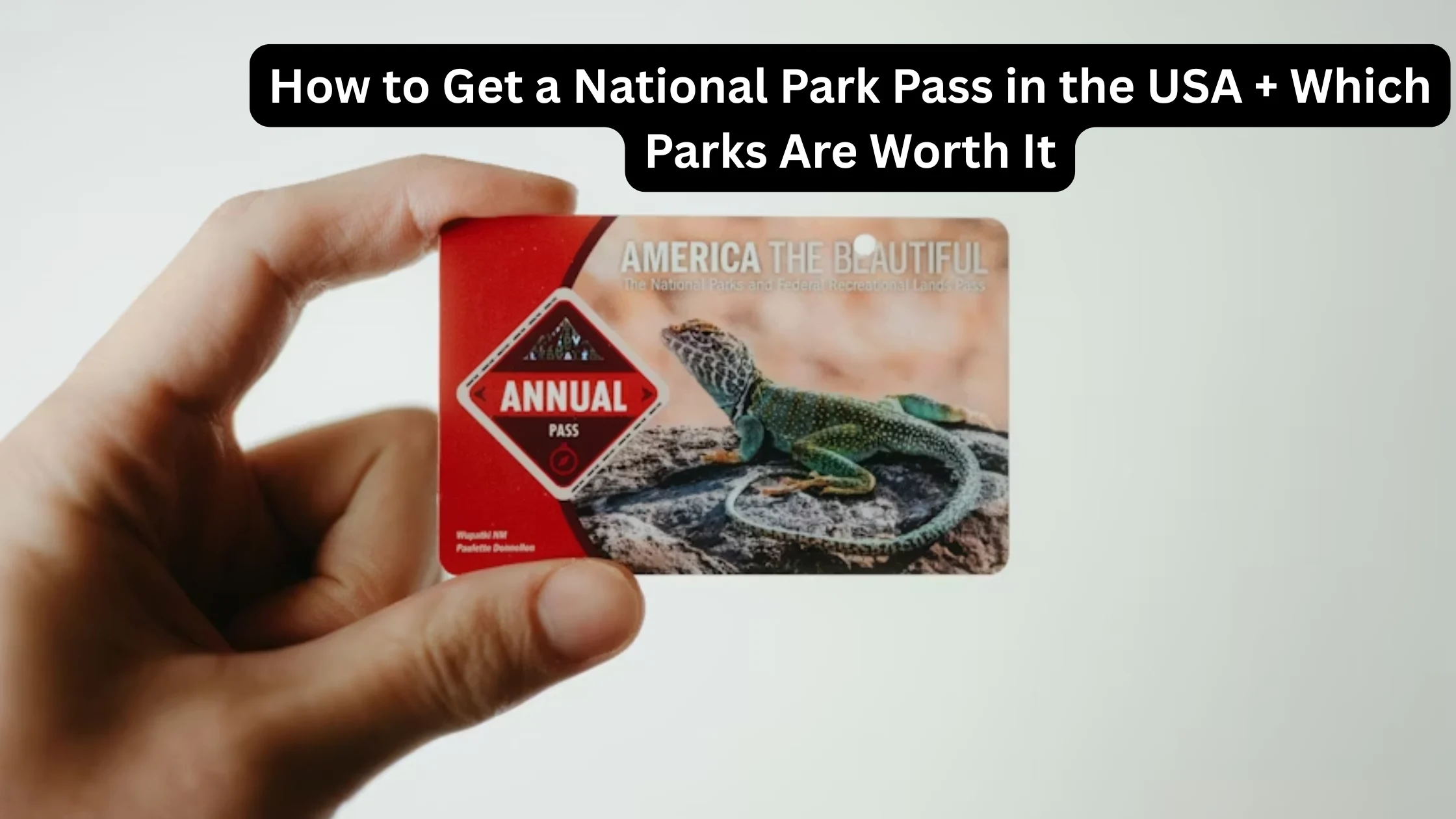 How to Get a National Park Pass in the USA + Which Parks Are Worth It