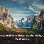 Yosemite National Park Visitor Guide: Trails, Camping & Best Views