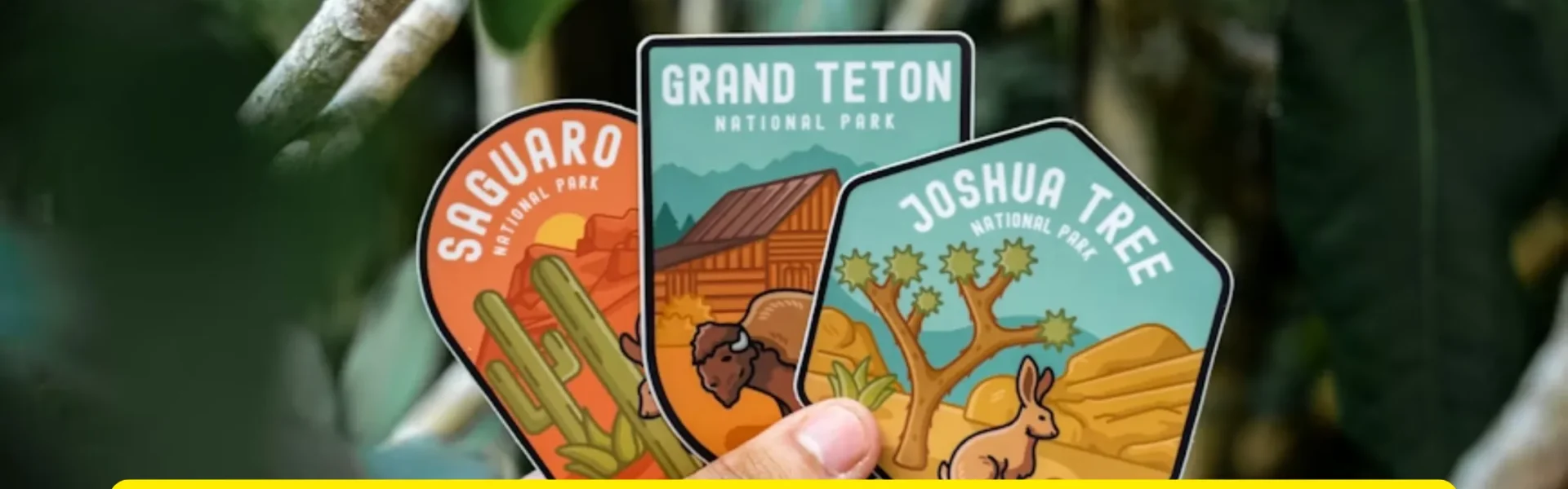 USA National Parks Bucket List: 12 Must Visit Parks Before You Die (2026 Guide)