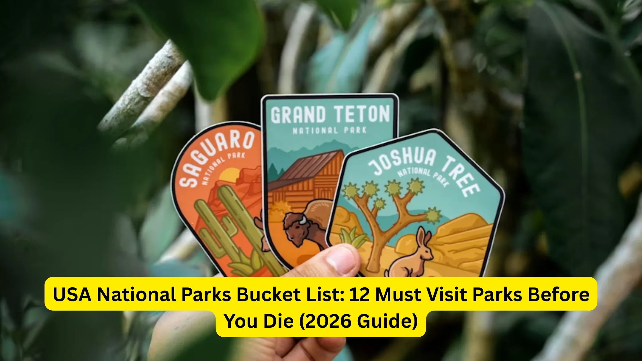 USA National Parks Bucket List: 12 Must Visit Parks Before You Die (2026 Guide)