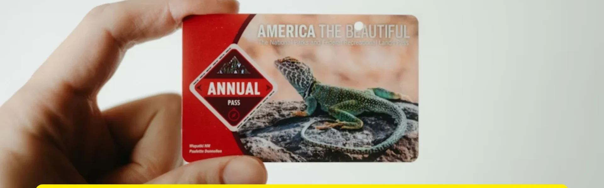 USA National Park Pass 2026: Everything You Need to Know Before You Buy (And What Nobody Tells You)