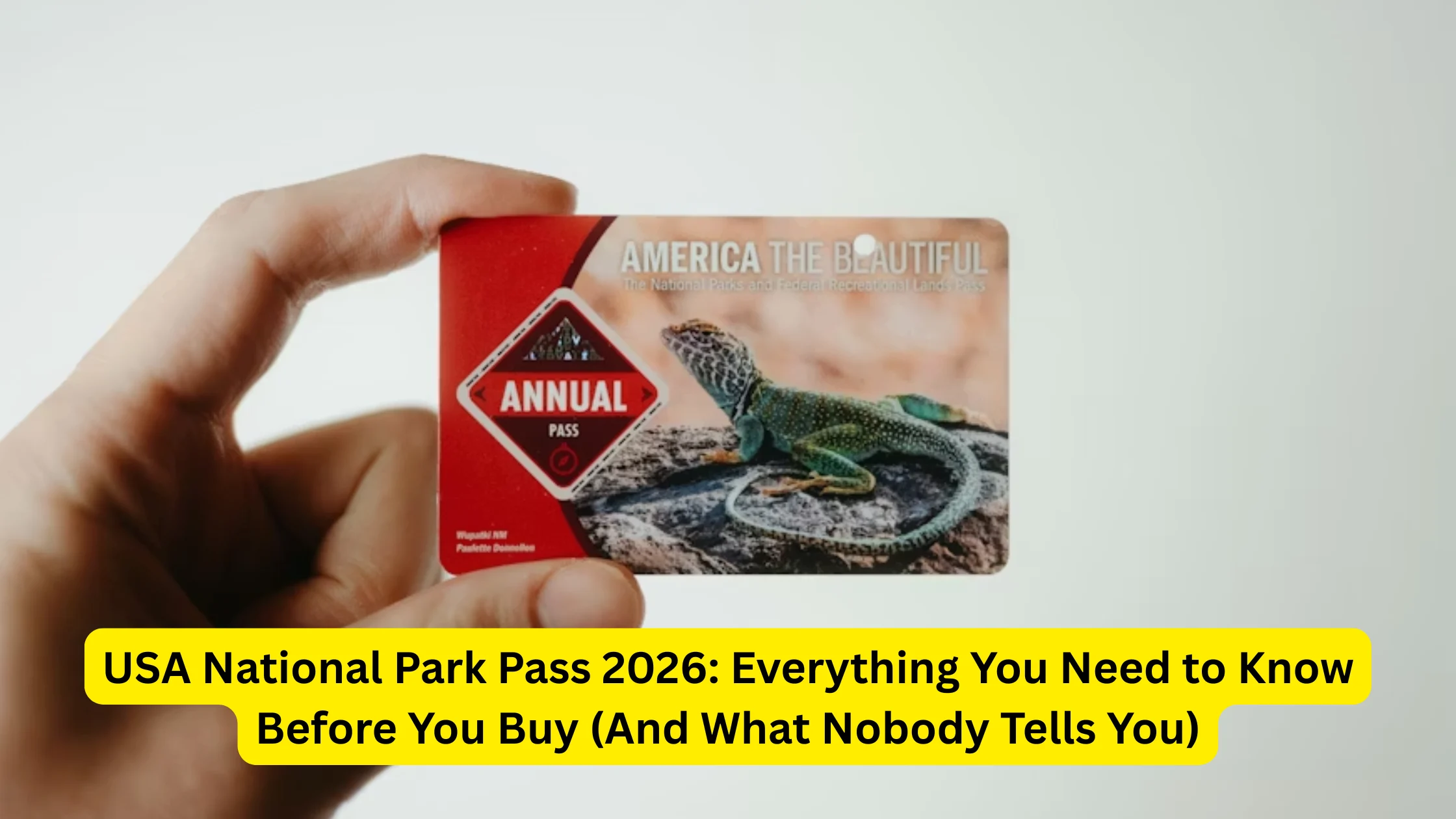 USA National Park Pass 2026: Everything You Need to Know Before You Buy (And What Nobody Tells You)