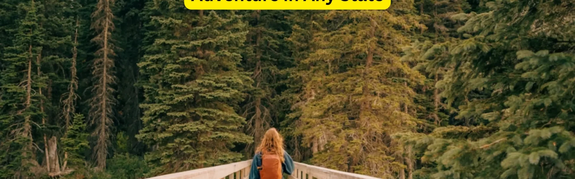 USA Hiking Guide: How to Plan the Perfect Outdoor Adventure in Any State