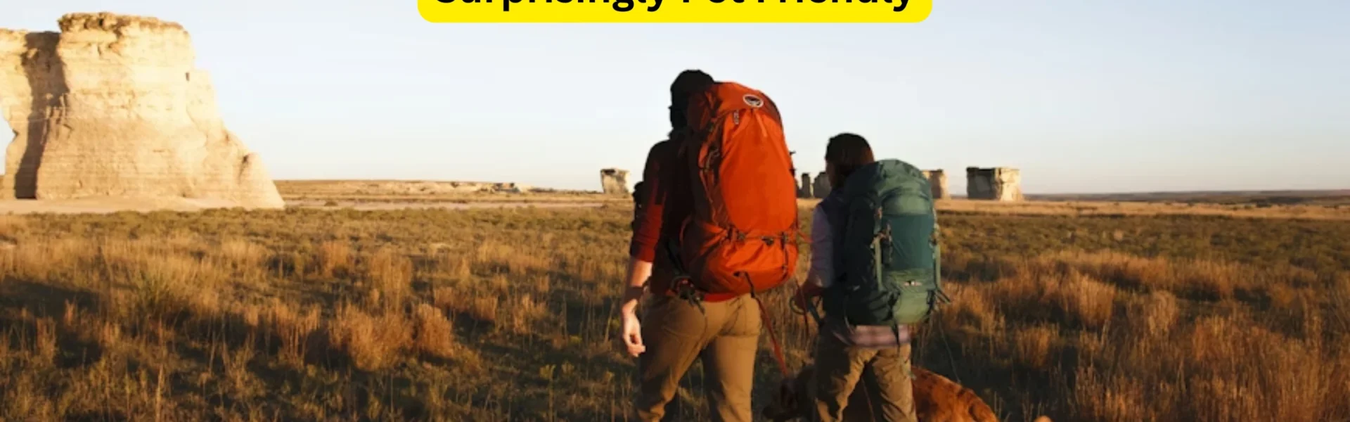 Traveling with Your Dog? 9 USA National Parks That Are Surprisingly Pet Friendly