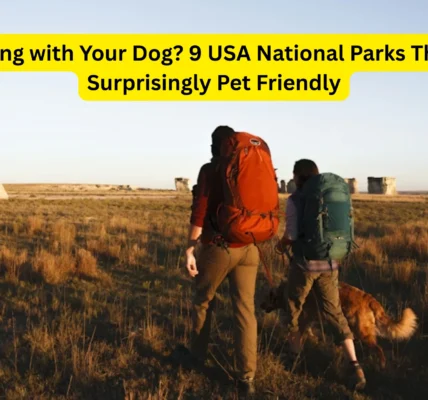 Traveling with Your Dog? 9 USA National Parks That Are Surprisingly Pet Friendly