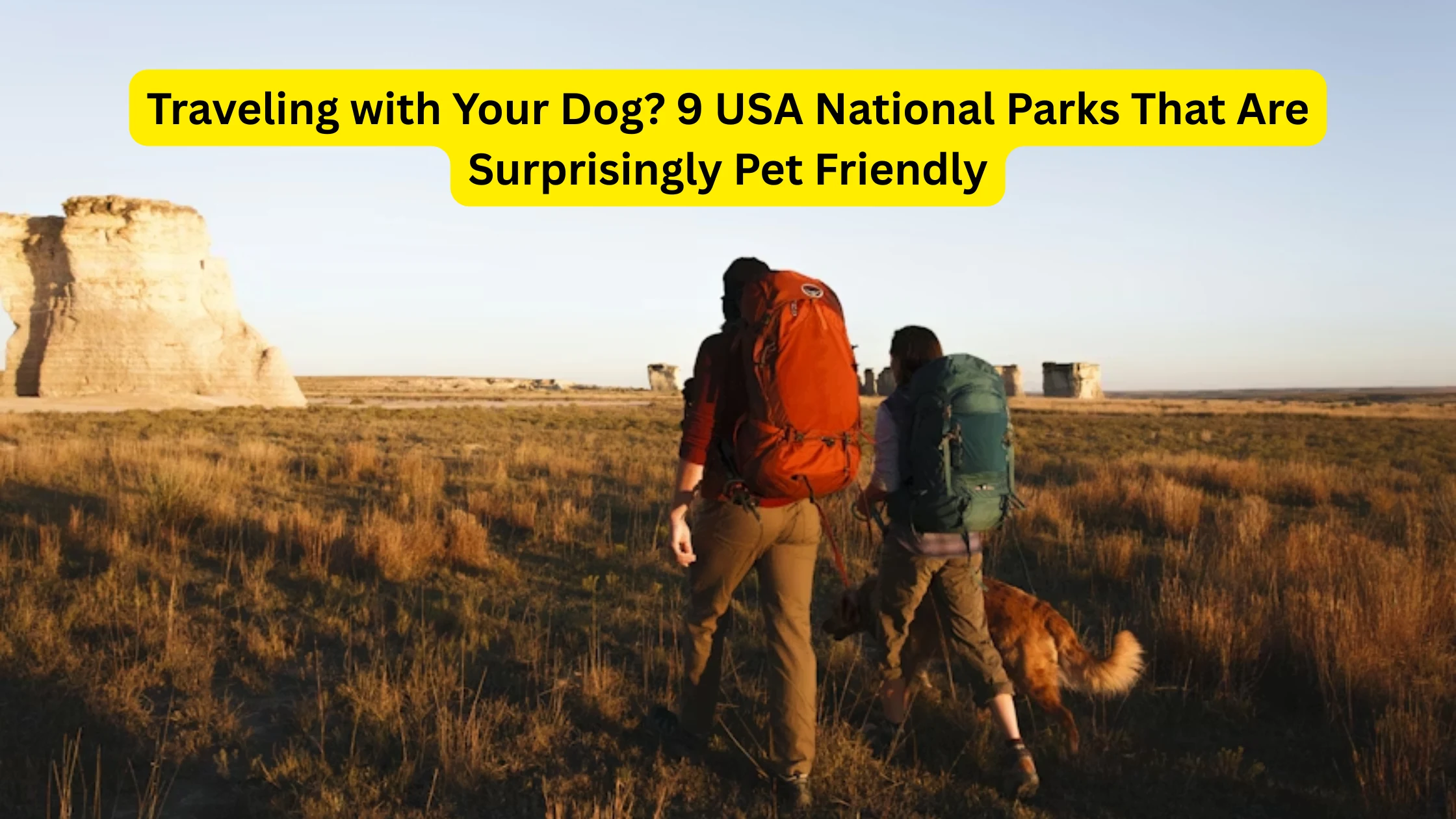 Traveling with Your Dog? 9 USA National Parks That Are Surprisingly Pet Friendly