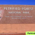 petrified forest national park tickets