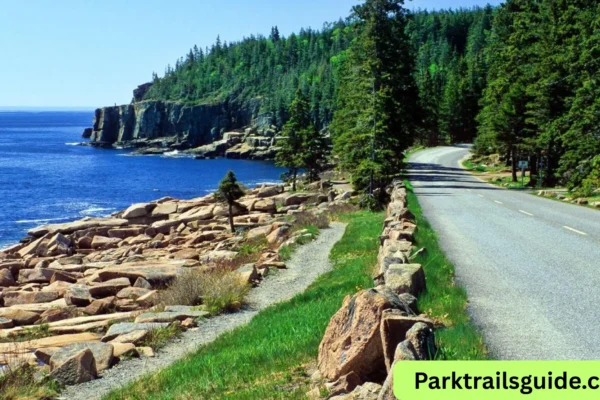 things to do in Acadia National Park
