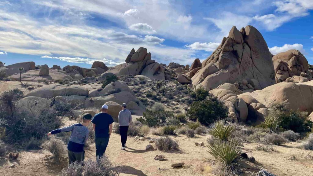 Skull Rock Nature Trail joshua tree