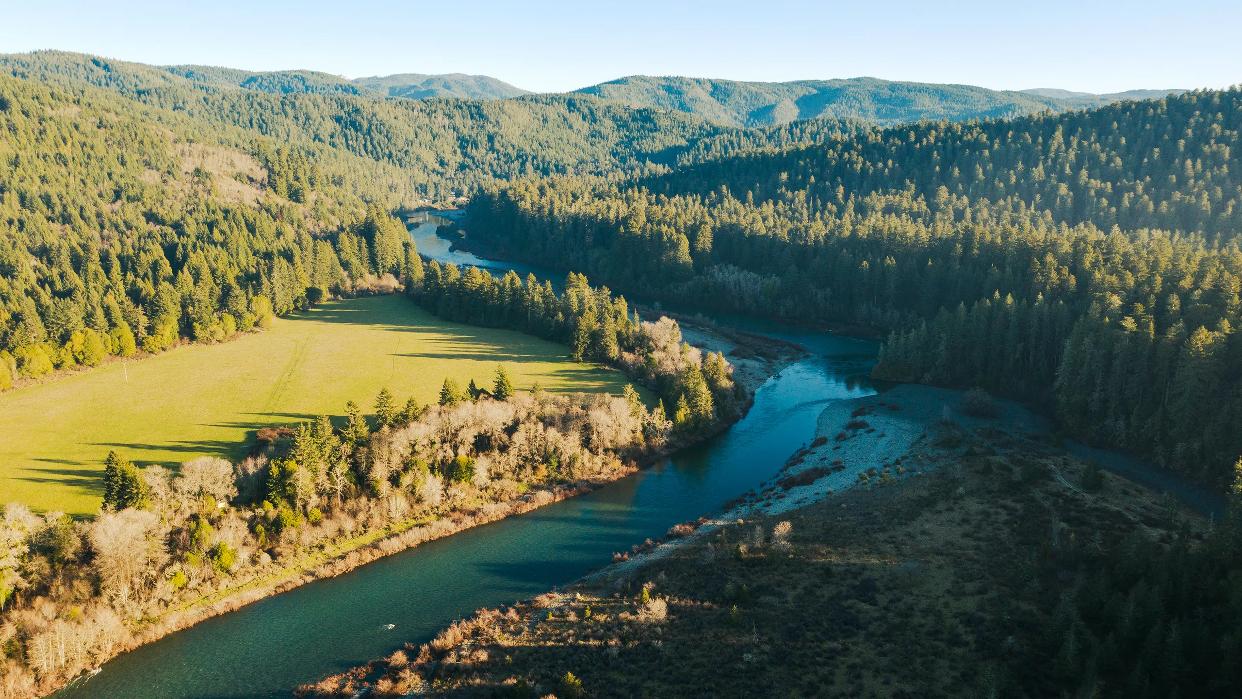 What Are Some Challenges Redwood National Park Faces?