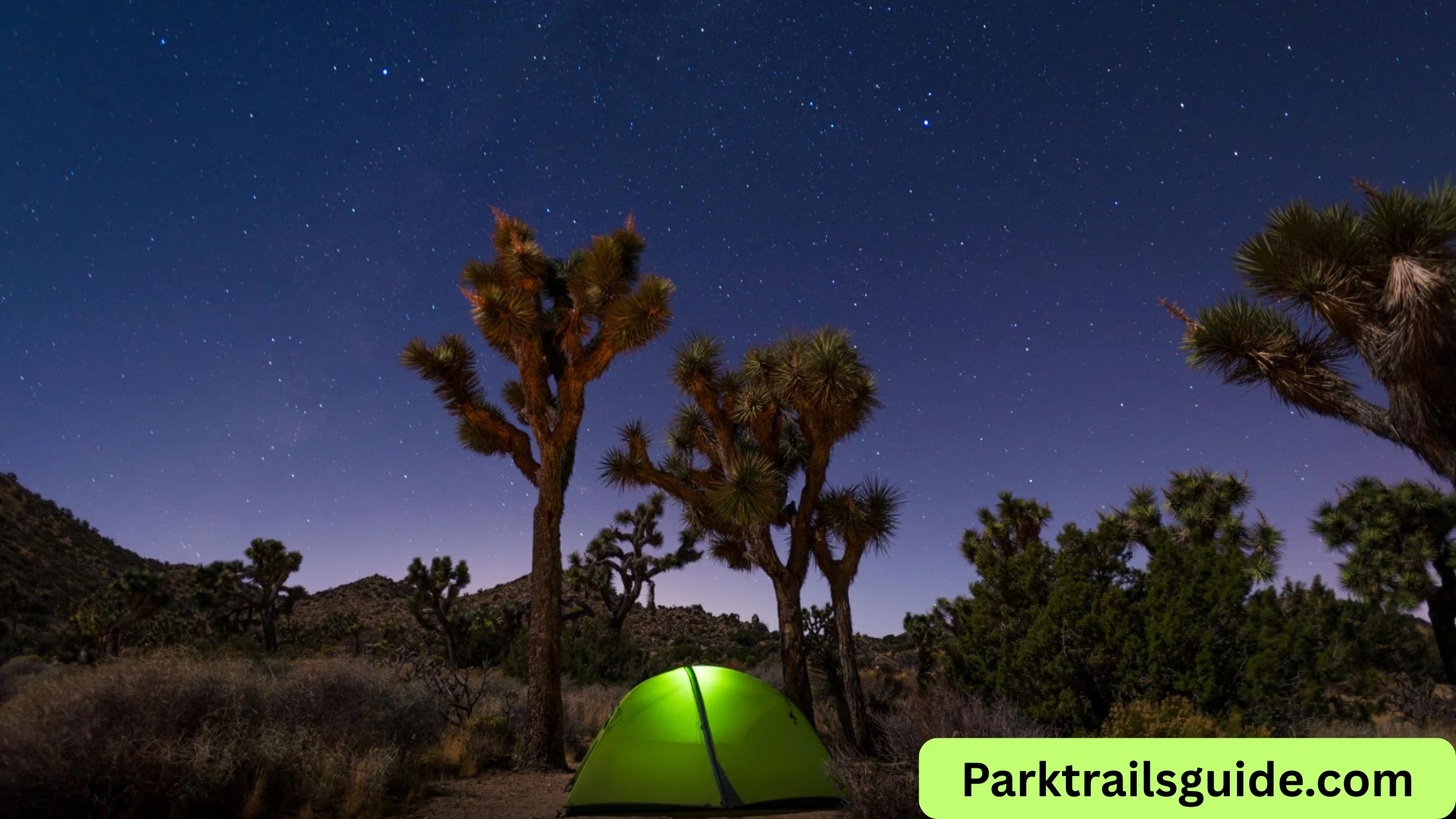 Joshua Tree National Park camping