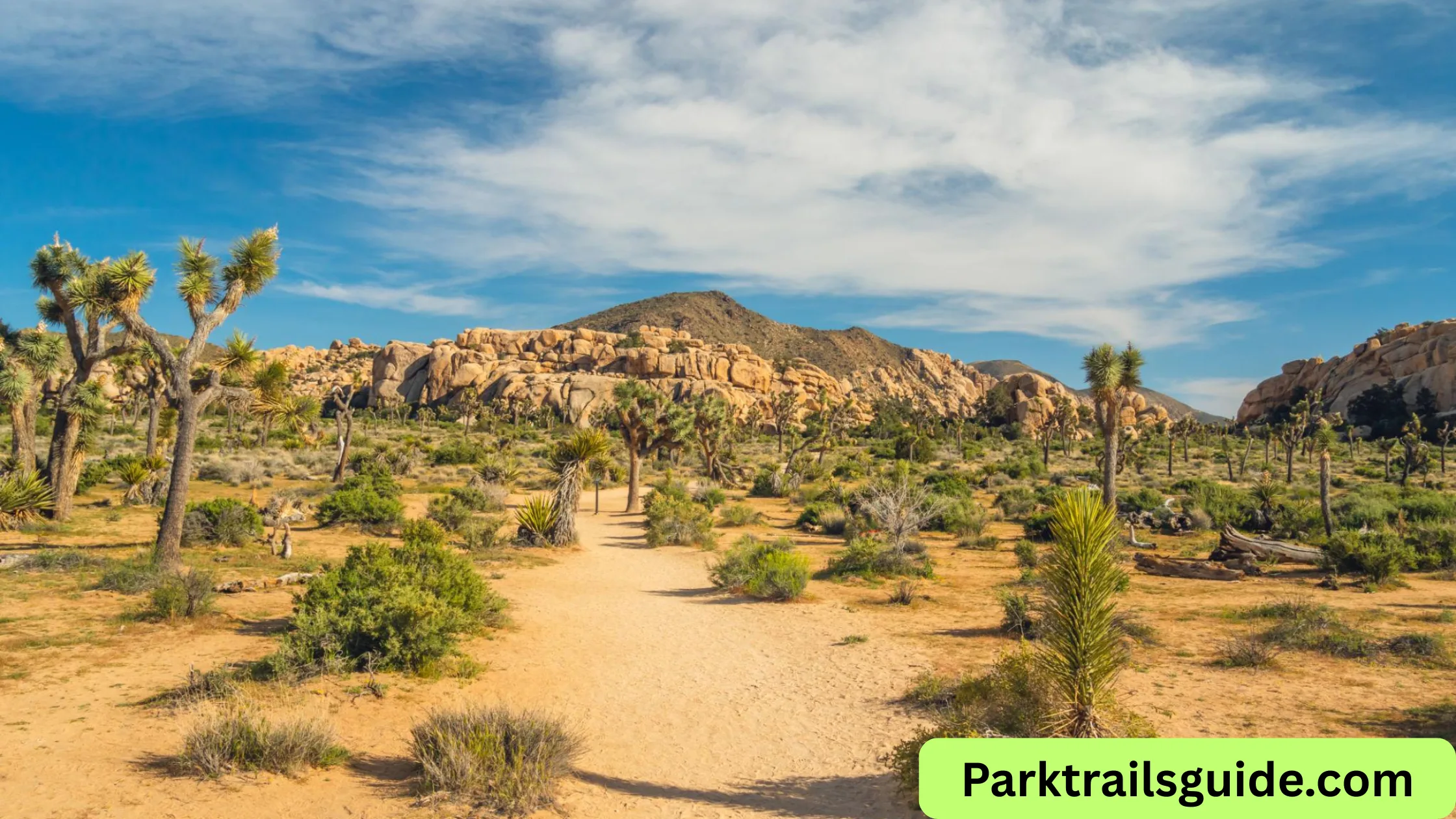 Joshua Tree National Park hikes