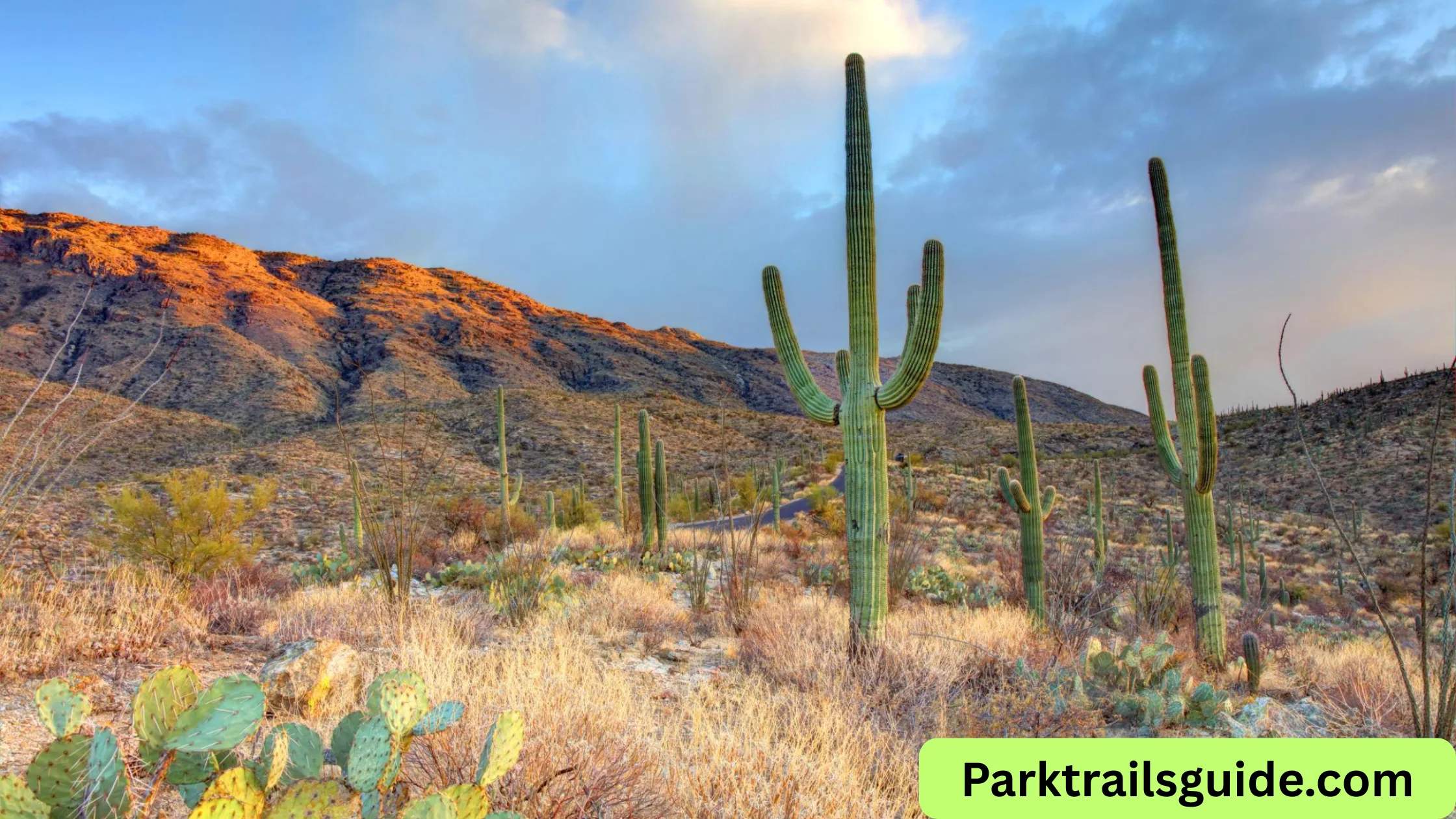 Saguaro National Park Map