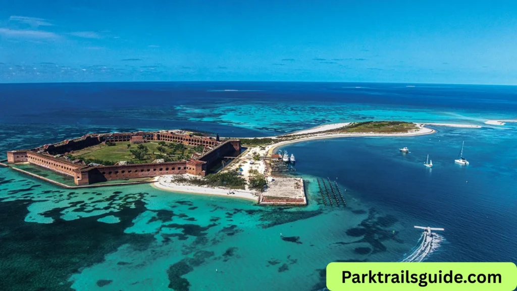 Hidden Snorkeling Spots in Dry Tortugas