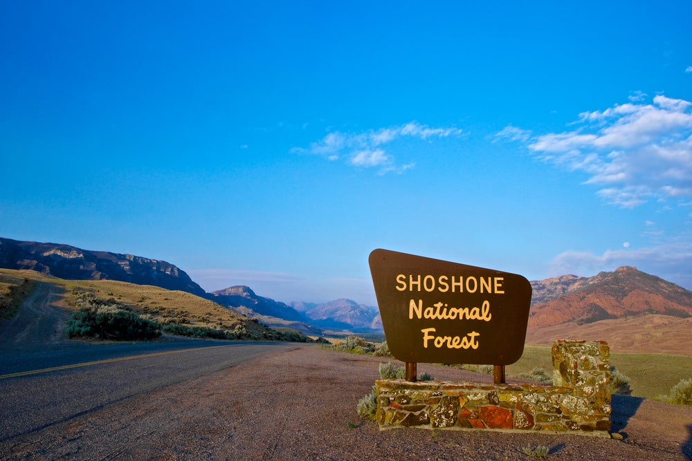 Shoshone National Forest