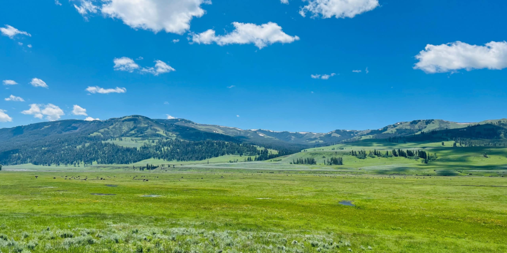yellowstone valley