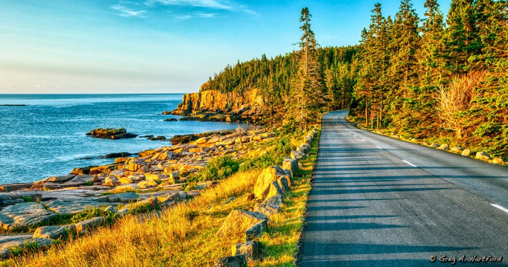 Drive Park Loop Road
