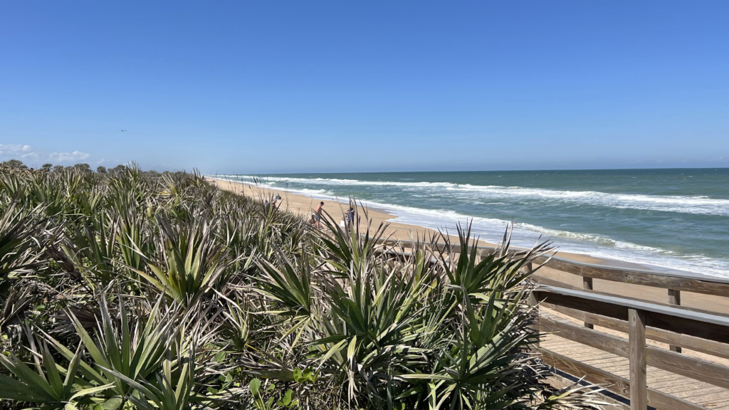 Canaveral National Seashore