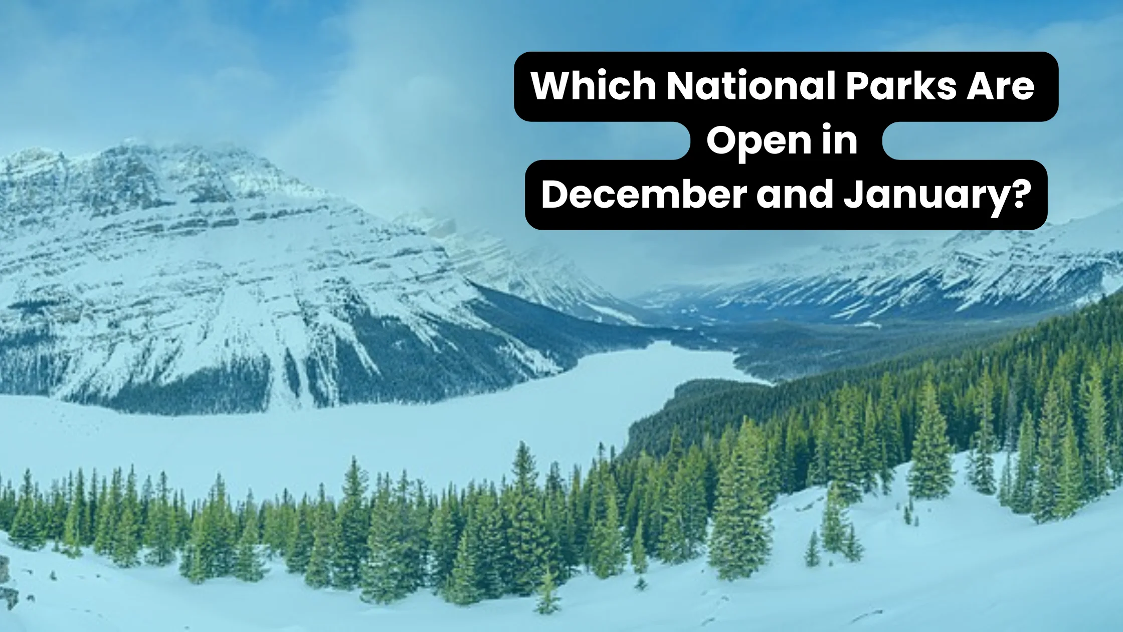 Which National Parks Are Open in December and January?