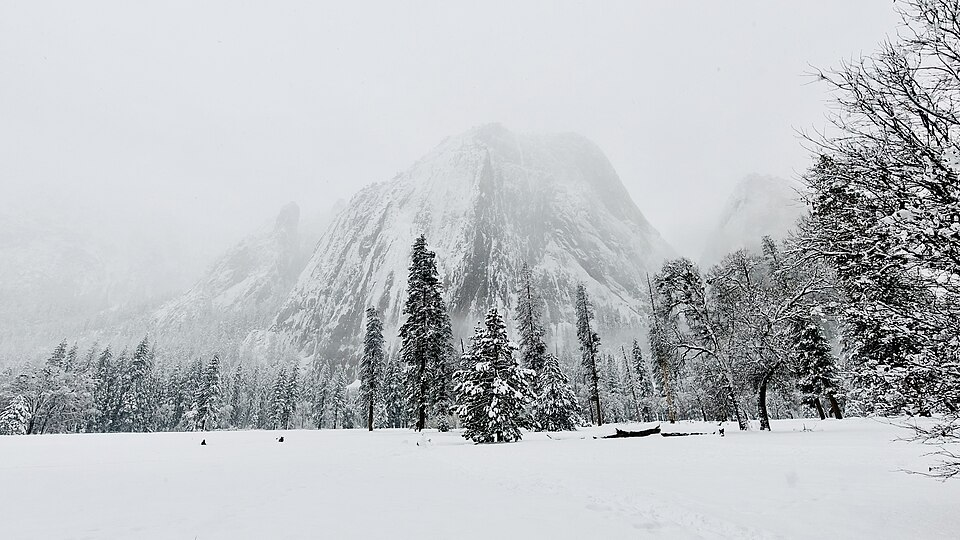 Picture taken around El Capitan

