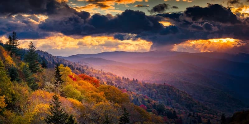 Best Time to Visit Great Smoky Mountains National Park