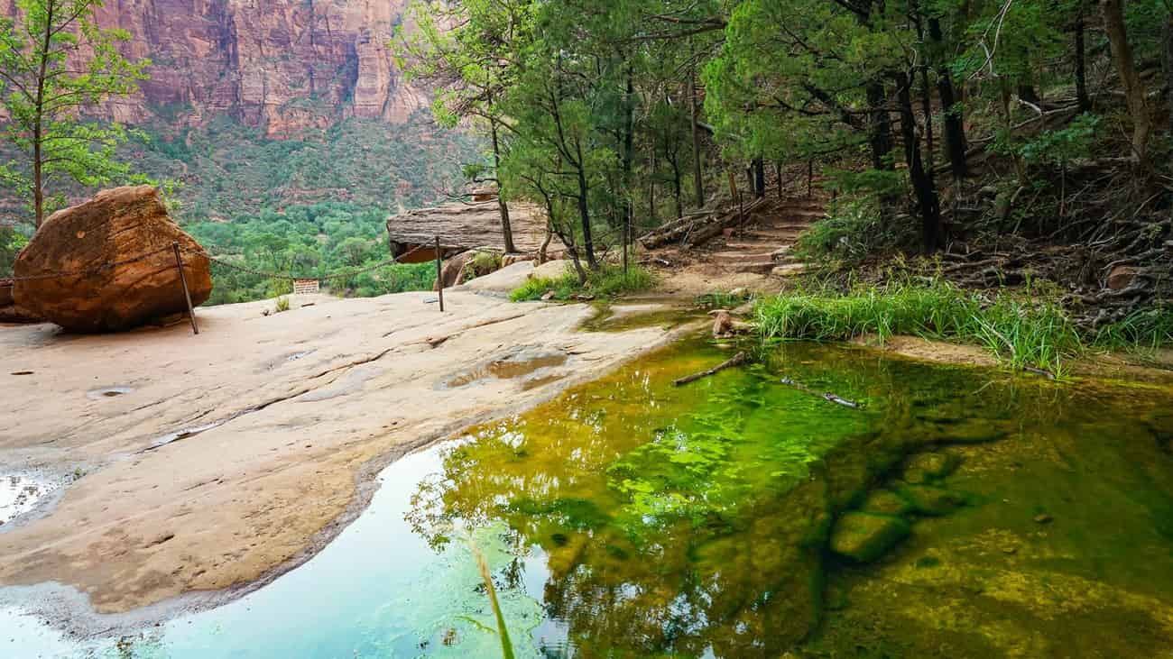 emerald pool zion national park