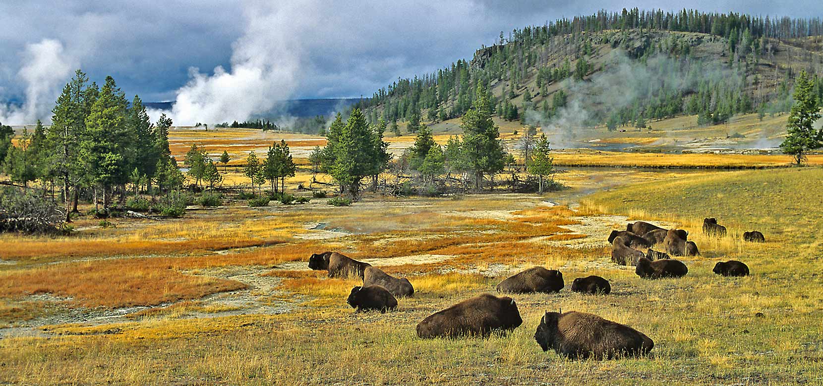 what city is yellowstone national park in